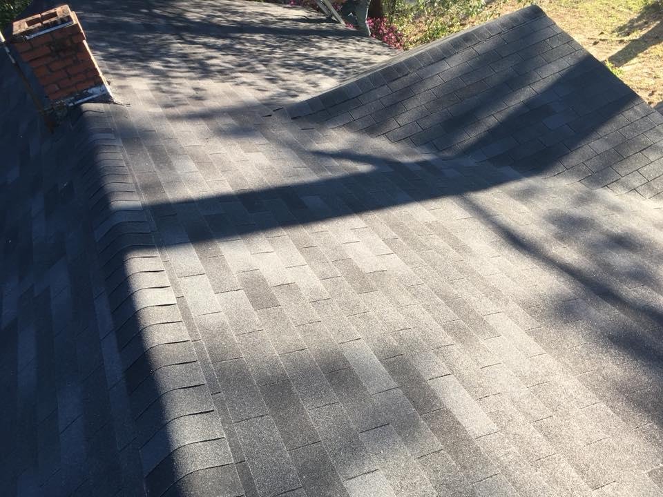 Slide of Affordable Trees & Construction