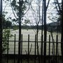 Photo of Massey Park
