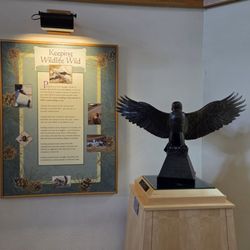 Fall River Visitor Center - Rocky Mountain National Park - 10-01-2025