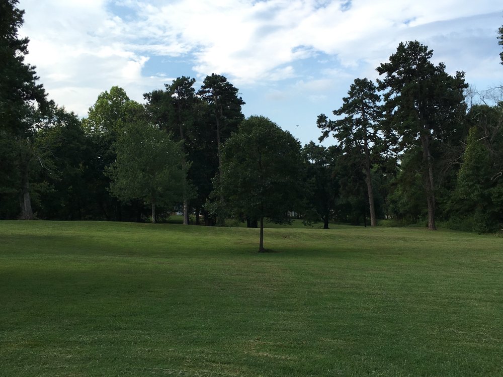 Louisa Town Park Logo