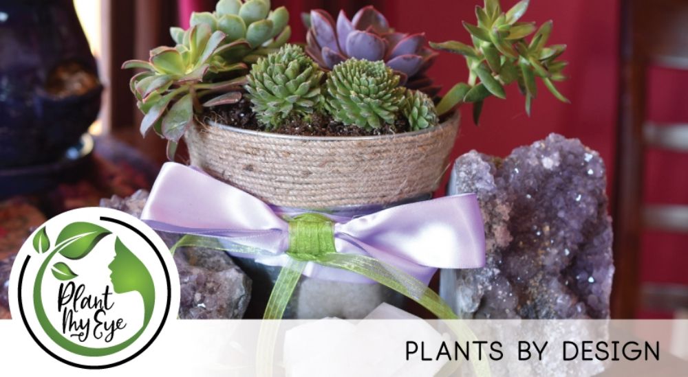 Plant My Eye Logo