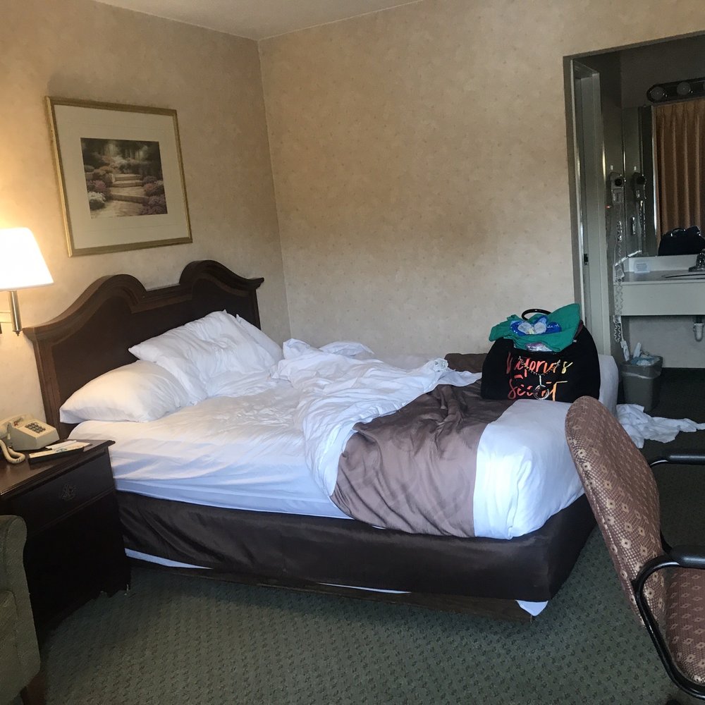 Quality Inn Tysons Corner - Room 2111 upon check out - Hotels Near Me - Vienna, Virginia Quality Inn Tysons Corner - Room 2111 upon check out - Hotels Near Me - Vienna, Virginia