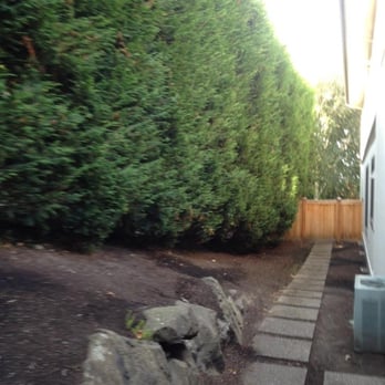 Fernando's Landscaping - a view of the back yard - Landscaping Near Me