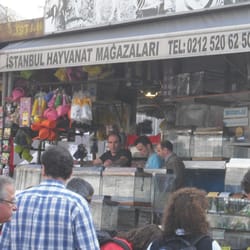 İstanbul Hayvanat Mağazaları