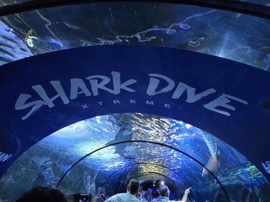 SEA LIFE Sydney Aquarium by null