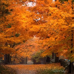 Beaver Brook Association - Maple Hill Farm by Robert Heyer