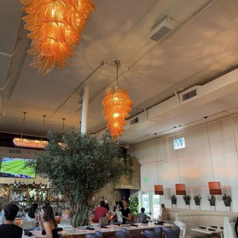 Jay Luigi - Pizza Near Me - Tampa, Florida Jay Luigi - Pizza Near Me - Tampa, Florida