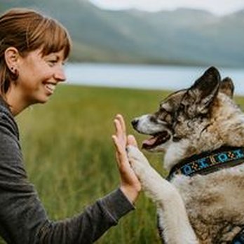 Howling Peaks - Pet Groomers Near Me - Anchorage, Alaska Howling Peaks - Pet Groomers Near Me - Anchorage, Alaska