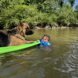 Tree Frog Kayak & Canoe Rentals