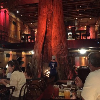 Clifton's Republic - Cool tree. - Bars Near Me - Los Angeles, California