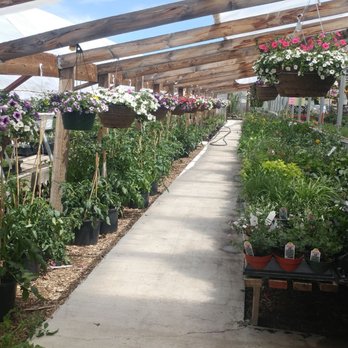 Martins Greenhouse - Nurseries & Gardening Near Me - Standish, California Martins Greenhouse - Nurseries & Gardening Near Me - Standish, California