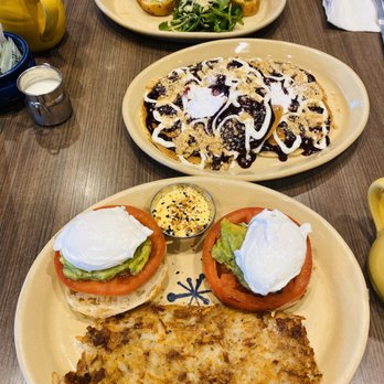Snooze, an A.M. Eatery - Avocado toast, blueberry pancakes, eggs Benedict. - Breakfast & Brunch Near Me - Addison, Texas
