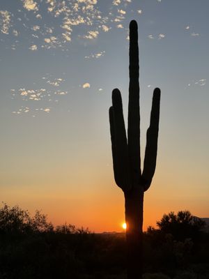 Lost Dutchman State Park by null