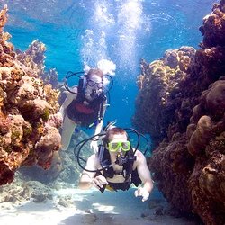 413 Divers