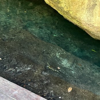 Gran Cenote - Turtle - Lakes Near Me