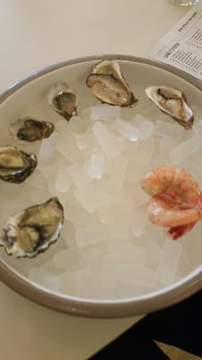 W. H. Stiles Fish Camp by null