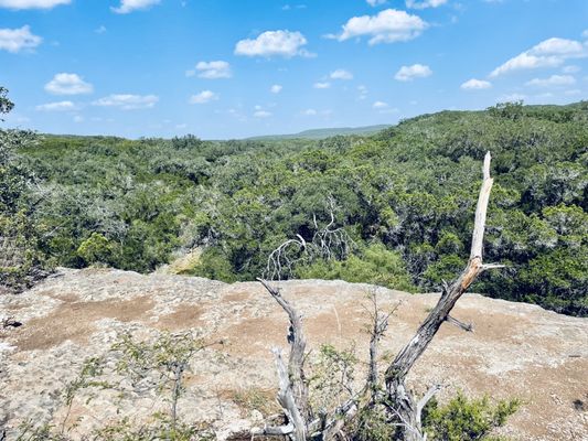 Government Canyon State Natural Area by null