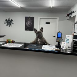 King G Auto Repair
