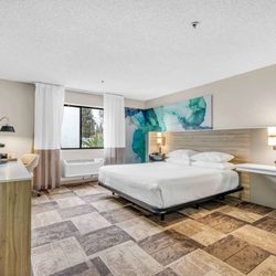 Wyndham Garden Newark-Fremont Silicon Valley - Guest room