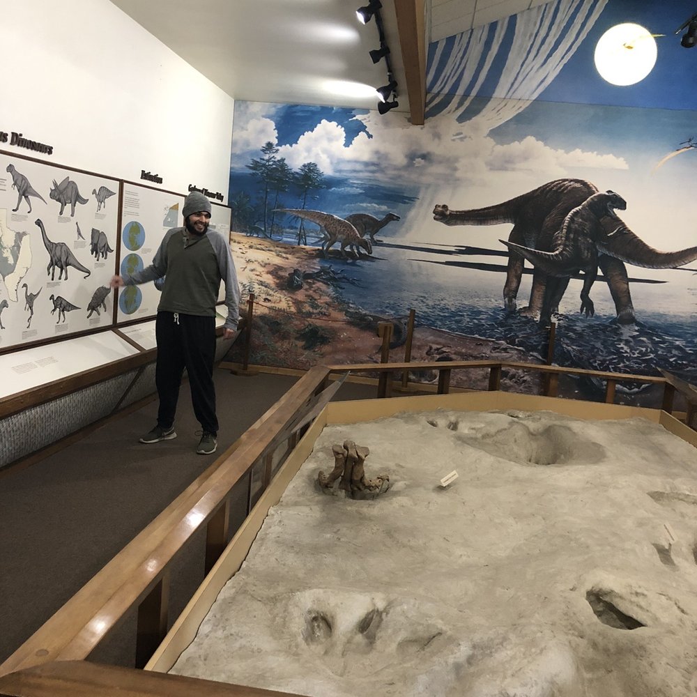 Dinosaur Valley State Park - In the visitor center - Parks Near Me - Glen Rose, Texas