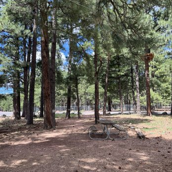 Flagstaff Extreme Adventure Course - Training area - Challenge Courses Near Me - Flagstaff, Arizona Flagstaff Extreme Adventure Course - Training area - Challenge Courses Near Me - Flagstaff, Arizona