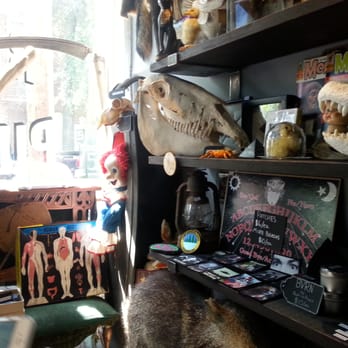 Rest in Pieces - Antiques Near Me - Richmond, Virginia Rest in Pieces - Antiques Near Me - Richmond, Virginia