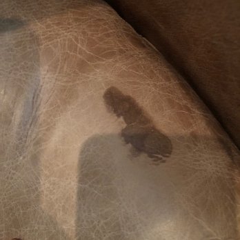 Total Leather Care - Here is the chocolate stain that was on my chair seat- awful!! - Furniture Reupholstery Near Me - Houston, Texas Total Leather Care - Here is the chocolate stain that was on my chair seat- awful!! - Furniture Reupholstery Near Me - Houston, Texas