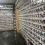 Photo of Buddy's Toys And Collectibles