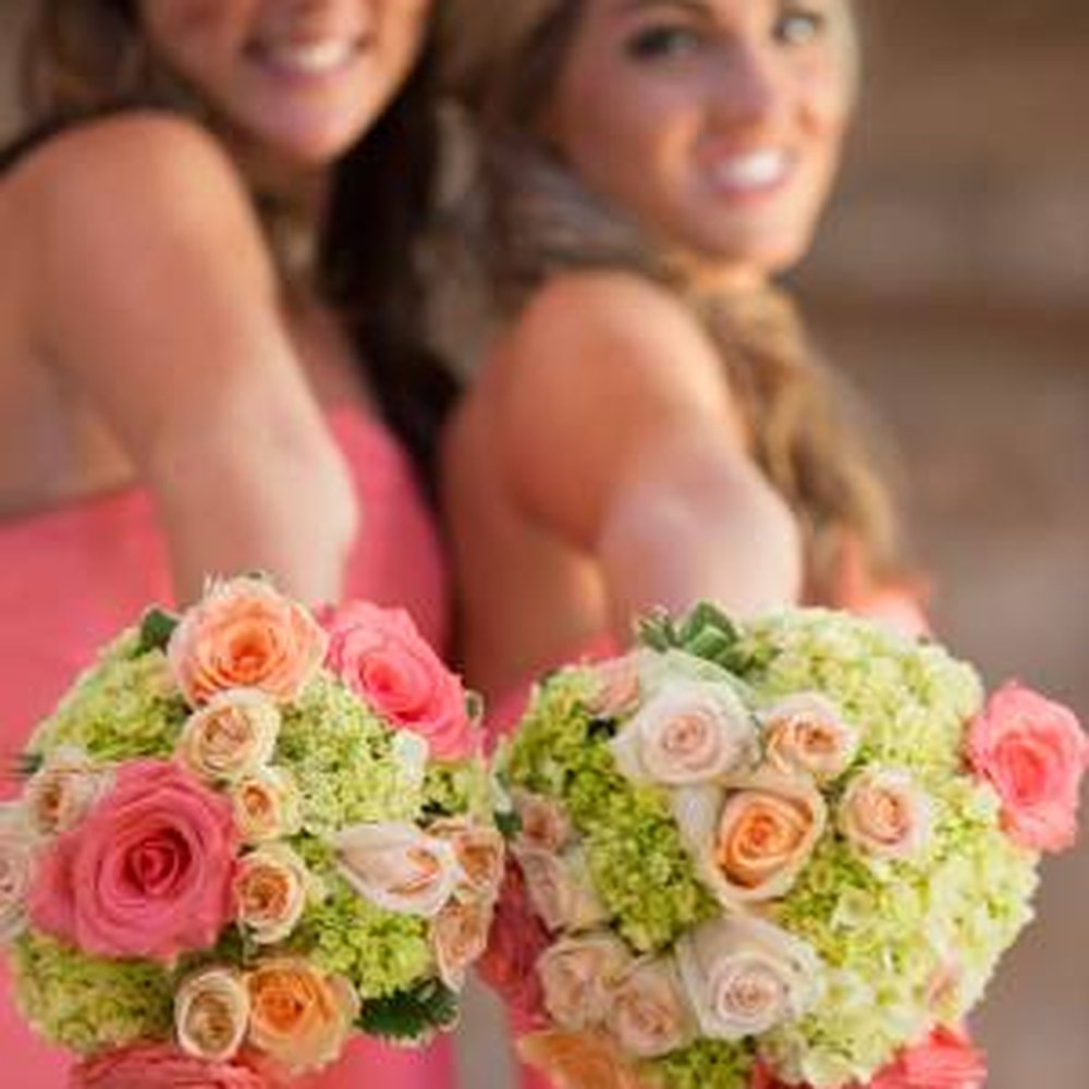 Flowers Brighton Mi Best Flower Site