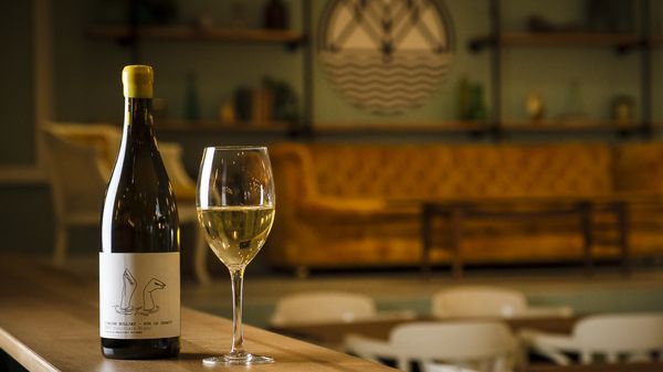 Les Insulaires microbrasseurs by null