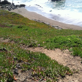 Rodeo Beach - Mini hike! - Beaches Near Me - Sausalito, California Rodeo Beach - Mini hike! - Beaches Near Me - Sausalito, California
