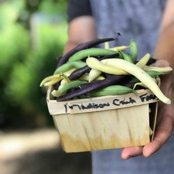 Madison Creek Farms