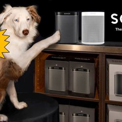 Beam Easy Living Center - Buster says Sonos speakers are the BEST!