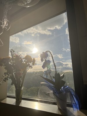 North Shore University Hospital by null