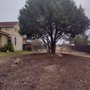 Photo of Lupian Tree Care