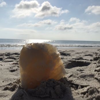Playalinda Beach - Beaches Near Me - Titusville, Florida