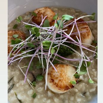 Trigo Wood Fired Pizza - Seared scallops over mushroom risotto - Pizza Near Me - Willimantic, Connecticut Trigo Wood Fired Pizza - Seared scallops over mushroom risotto - Pizza Near Me - Willimantic, Connecticut