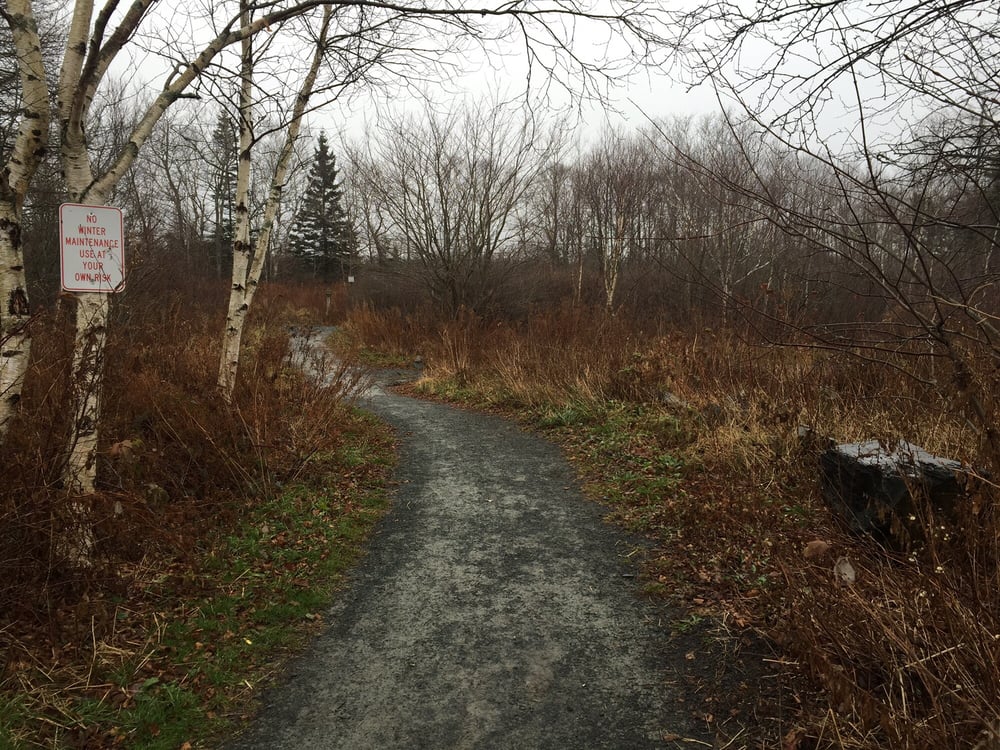 The Shearwater Flyer