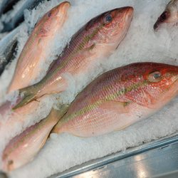 Seafood City Supermarket
