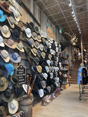 Kemo Sabe Jackson by null