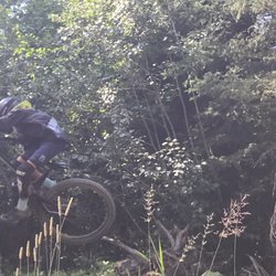 McSporties - Shreddin'