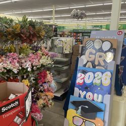 Dollar Tree Store at Raymond