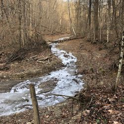 Hampton Hills Metro Park - Frozen creek