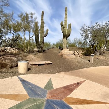 Stevie's Pizza - a desert landscape with cactus trees - Pizza Near Me - Peoria, Arizona Stevie's Pizza - a desert landscape with cactus trees - Pizza Near Me - Peoria, Arizona