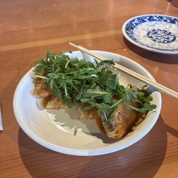 Mecha Noodle Bar - Roasted Mushroom Dumplings - Ramen Near Me - Denver, Colorado
