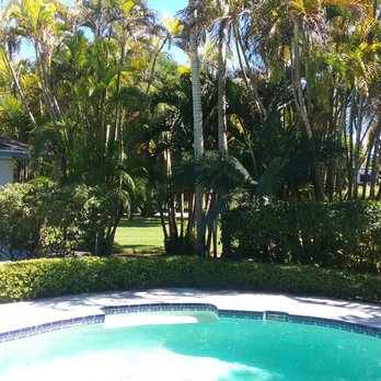 Men In Green - a pool surrounded by palm trees - Landscaping Near Me