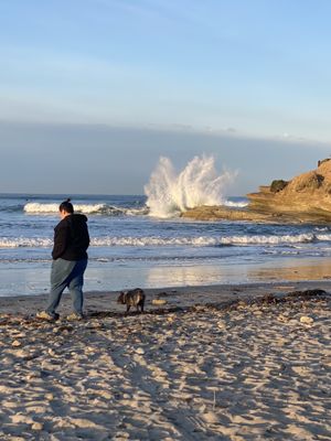 Del Mar by null