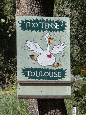 Toulouse Vineyards & Winery by null