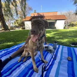 Us at the park after her training.