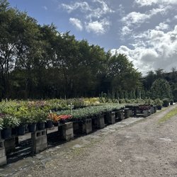 Gardening Angel Nursery